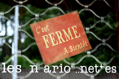 Cliquez sur la vignette pour l'agrandir